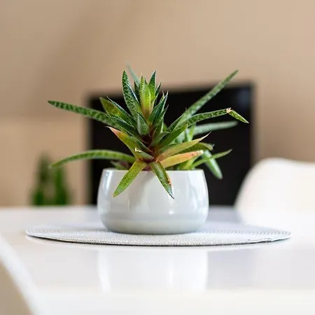 Strandhaus 2 Og Marienfelde